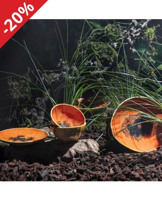 Farfurie pentru desert, Frutos Tropicais Kiwi - BORDALLO PINHEIRO